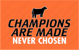 Champions Are Made Never Chosen