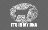 DNA Goat