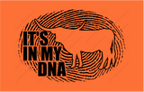 DNA Longhorn