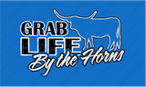 GRAB LIFE BUY THE HORNS