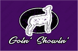 Goin’ Showin’-Lamb